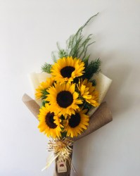 6 girasoles